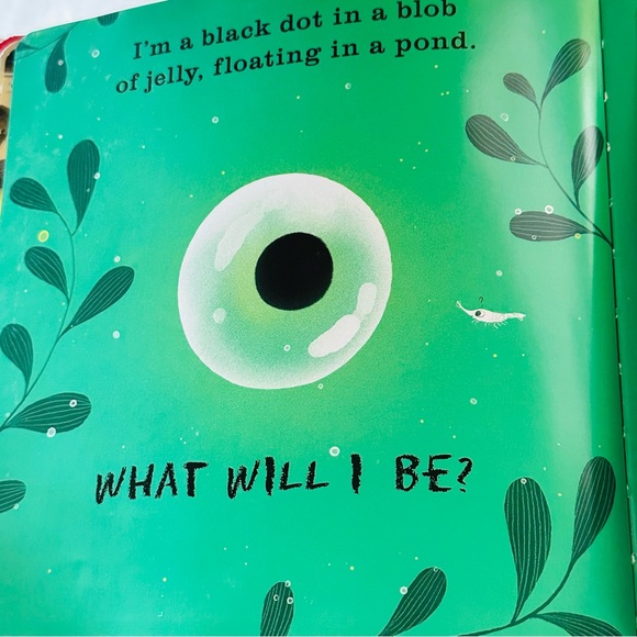 uncover & discover What Will I Be? Baby Board Book - Picture 11 of 15
